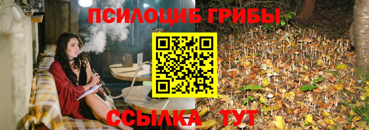 Галлюциногенные грибы GOLDEN TEACHER  Галлюциногенные грибы Psilocybine cubensis  Артёмовский  Вход с VPN 