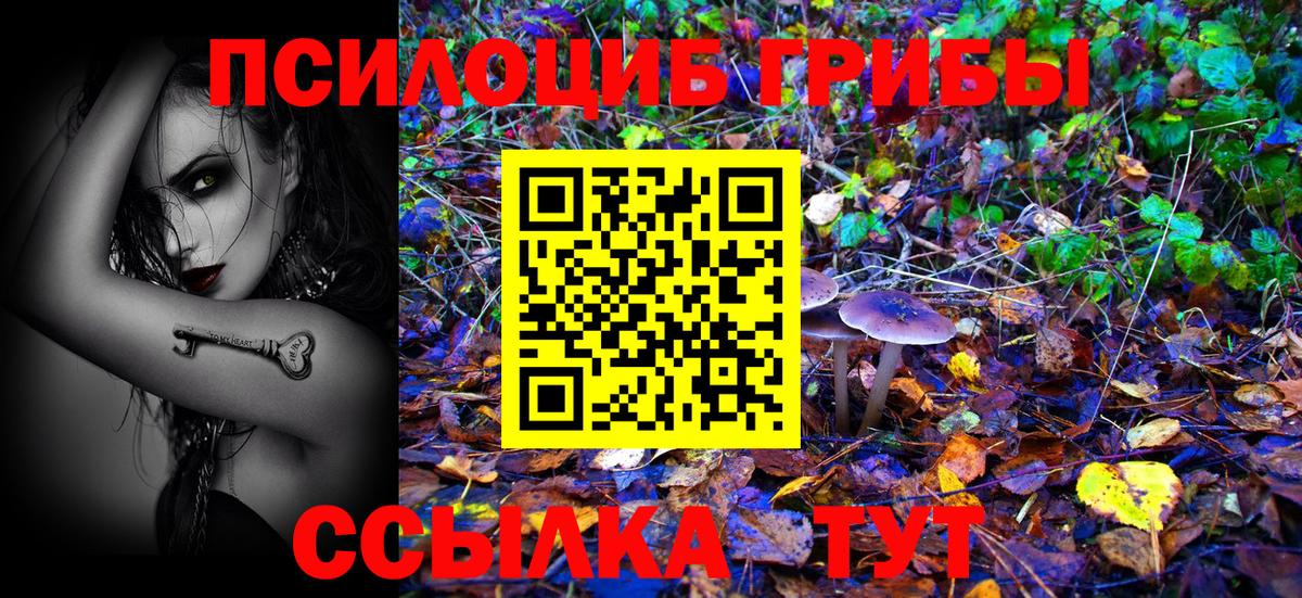 Псилоцибиновые грибы Psilocybine cubensis Артёмовский